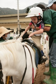 The Riding for the Disabled Association provides riding training to the disabilities with the Club's funding.