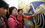 The display of horse bones proves very popular with citizens.

