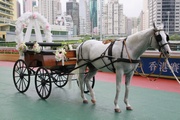 A horse carriage can be made available to give couples unforgettable memories of the big day.


