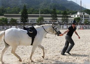 Celebrity jockeys Zac Purton (Photo 4) and Brett Doyle (Photo 5) compete in the fun race on horseback.