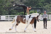 Triple gold medallist Christoph Lensing and his pupils will put on a spectacular performance of vaulting, a horseback sport that combines both gymnastics and equestrian riding in an art form. 